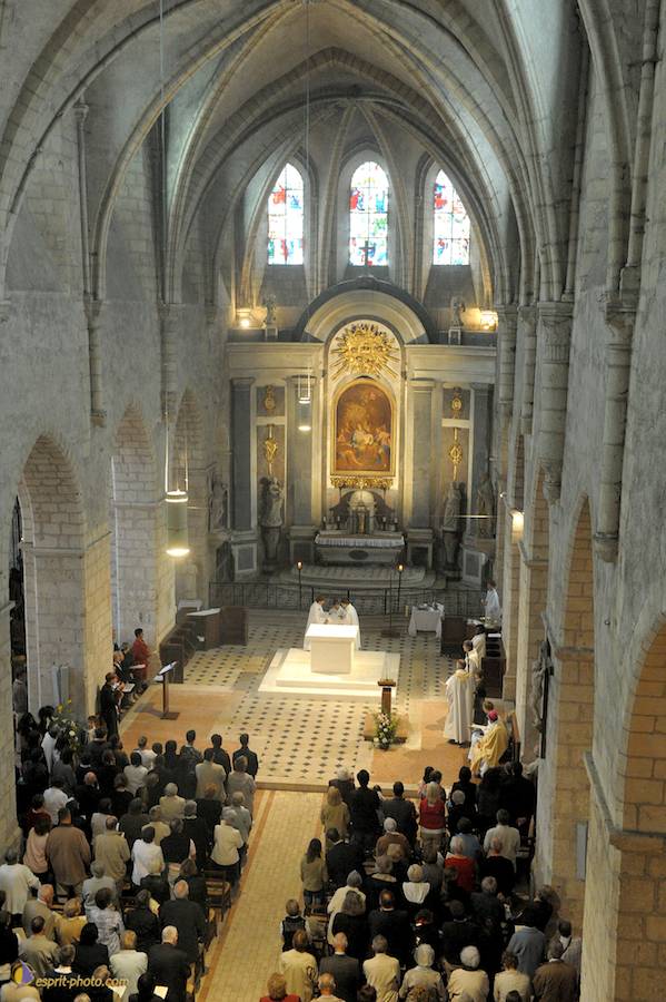 Nom de l'image : D30099943_1_(c)Norbert-JUNG — Description :